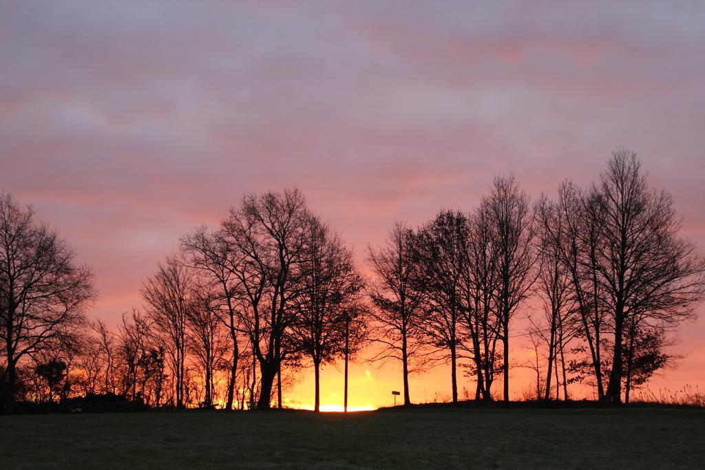 Gites A L'Ombre Des Chenes Châteauvieux Pokoj fotografie