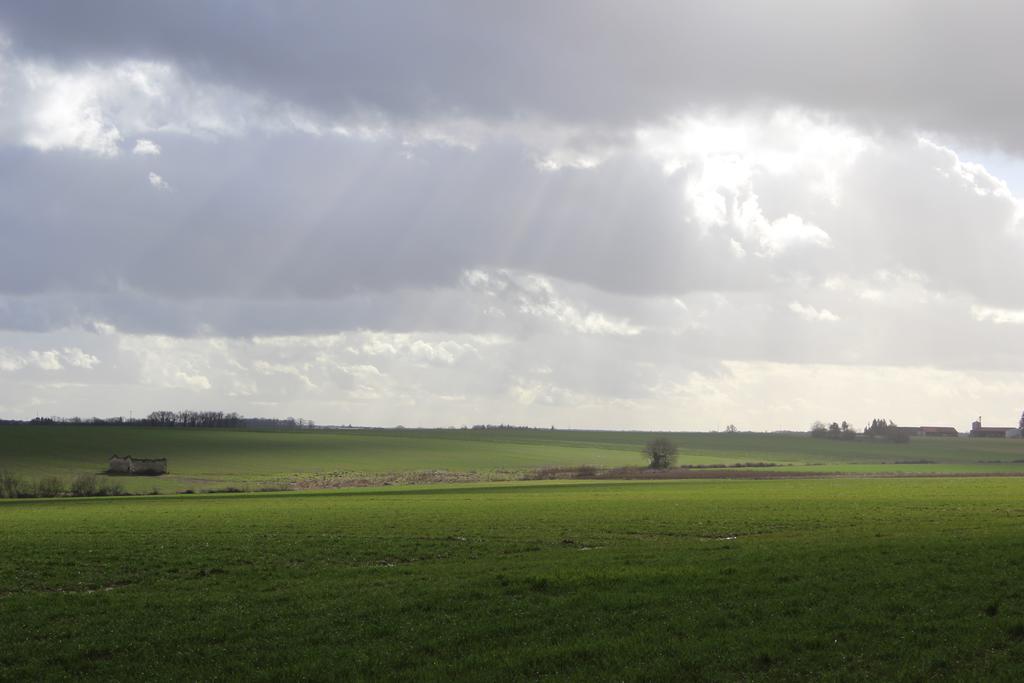 Gites A L'Ombre Des Chenes Châteauvieux Exteriér fotografie
